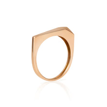 Load image into Gallery viewer, PLAIN SOUR