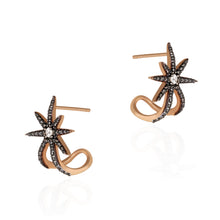 Load image into Gallery viewer, STAR EARRING
