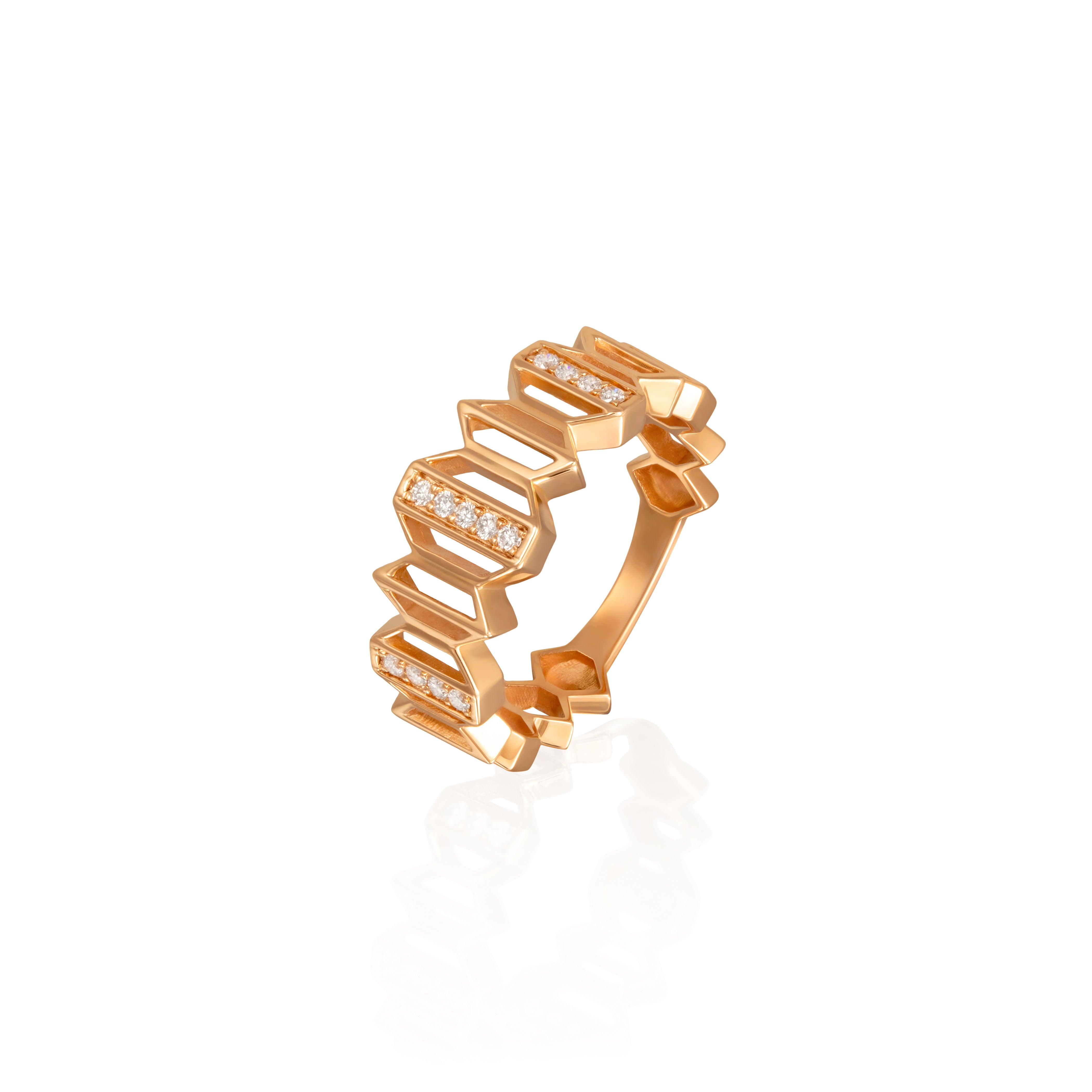 SEGMENT RING