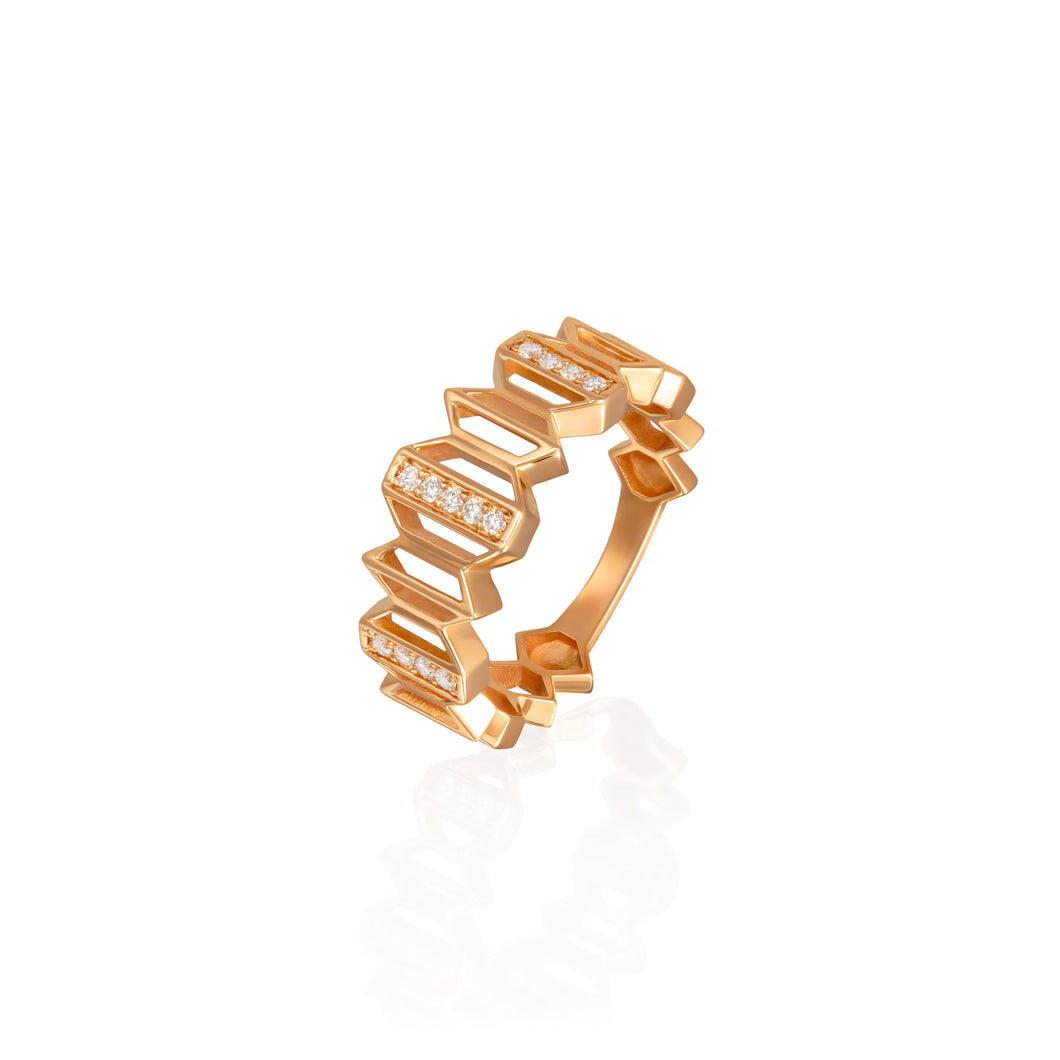 SEGMENT RING