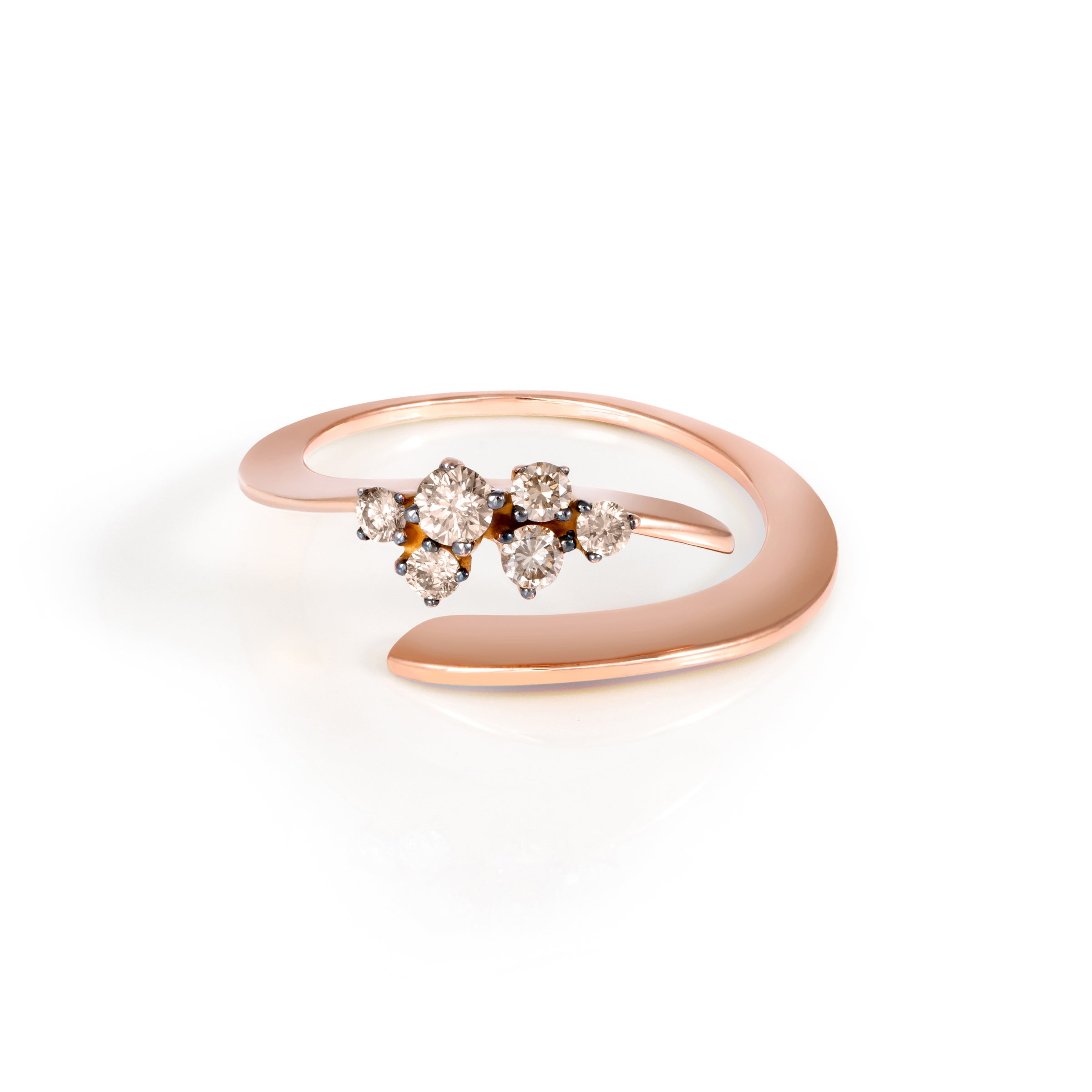 FLIPPED RING